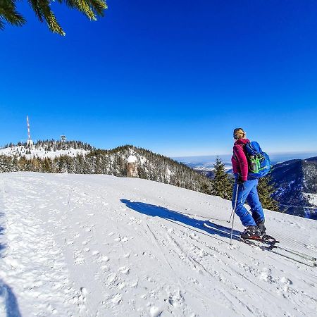 Almbauer Morgenbesser Trattenbach  Dış mekan fotoğraf