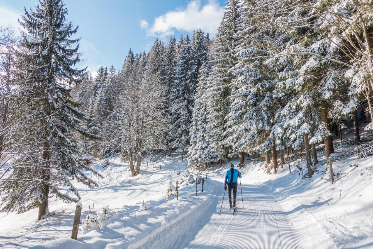 Almbauer Morgenbesser Trattenbach  Dış mekan fotoğraf